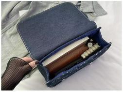 ZCJ9341 AS PICT-big-8